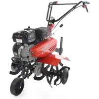 Benassi Motorhacke BL 6000C mit Benzinmotor Hwasdan H170F 212ccm - 2+1 Gänge