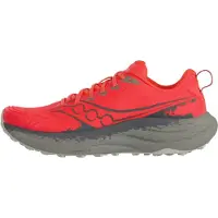 Saucony Ride TR3 Men's vizired/gadget (1018) 46