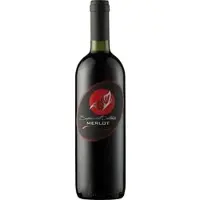 Gino Brisotto Merlot delle Venezia 2022 - 6Fl. á 0.75l