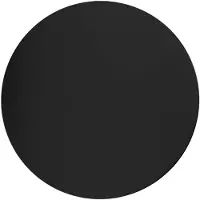 TK Lighting Wandleuchte Lunia New, schwarz, Ø 40 cm