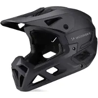 Wozinsky HT-58CL, Integralhelm, Helmvisier