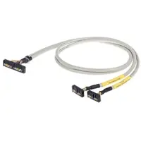 Wago 706-4769/101-300 Systemleitung,für Rockwell Compact Logix,2 x 16 Digitaleingänge 7064769101300