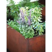Saremo Edelrost Hochbeet, Länge 120 cm, Breite 100 cm HB Länge 120 cm Breite 100 cm - Höhe 70 cm