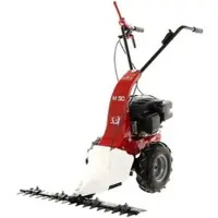 Eurosystems M90 Obermesser-Schwingenmähantrieb Loncin 123 OHV