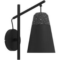 Eglo Schwarze Wandlampe Canterras
