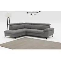 Cotta Ecksofa "Hudson L-Form, B: 256 cm", grau (mouse), B:256cm H:100cm T:207cm, Sofas, Ecksofa, mit Kopfteilverstellung, optional Schlaffunktion & Bettkasten