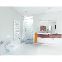 Etherma Badheizkörper BHK-53/119 elektrisch 600W weiß 230V