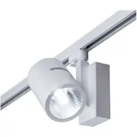 Brumberg 88344684