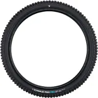 Schwalbe Pneu Albert Trail Pro - TLR - Addix Soft - Radial