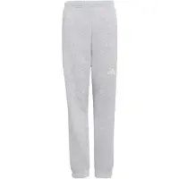 Adidas Seasonals Collegiate Typography Joggers