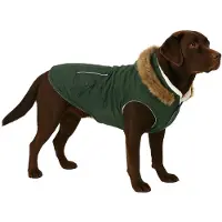Flamingo Kimo Hundejacke Grün 55cm Grün 55cm