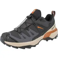Salomon X Ultra 360 GTX Herren Hikingschuhe grau beige Textil - Größe: UK 10,5