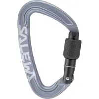 Salewa Karabinerhaken Ortles Screw