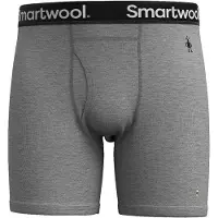 Smartwool Merino Brief Boxershorts