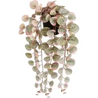 Mica Decorations Ceropegia Woodii Collar De Corazones Rosa Künstliche Pflanze