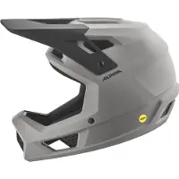 Alpina Pikes Mips smoke-grey matt (20) 56-59