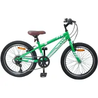vidaXL Mountainbike 24 Zoll 6-Geschwindigkeit für 8-12 Jahre alt Grün