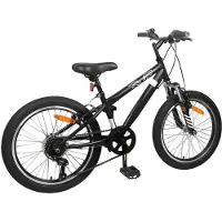 vidaXL Mountainbike 20 Zoll 6-Geschwindigkeit für 5-8 Jahre alt