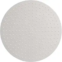 vidaXL Regenbrause Edelstahl 304 40 cm Rund