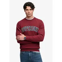 Superdry Athletic Applique Relaxed Sweatshirt