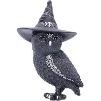 Nemesis Now Cult Cuties Owlocen Figuren 13 Cm Schwarz Schwarz One Size