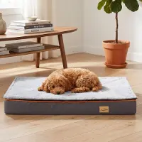 Bingopaw WISFOR Hundebett orthopädisch, Hundematte Hundekissen flauschig formstabil – Bezug abnehmbar waschbar, M: 80 x 50 x 8 cm