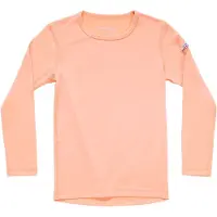Devold Breeze Plus Merino Langarm-t-shirt