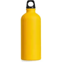 Salewa Isarco Lightweight 600ml Flasche