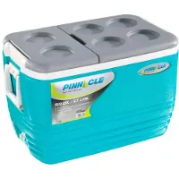 Corel Arcon Steife Tragbare Kühlbox 57l