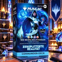 Wizards of the Coast D59251000, 13 Jahr(e)