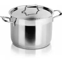 Artemis Orion Anett Topf mit Deckel, Edelstahl, 20 cm, 4,6 l, Premium