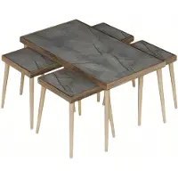 AEA Eleganter grauer Holztisch-Set mit Couchtisch und Beistelltischen