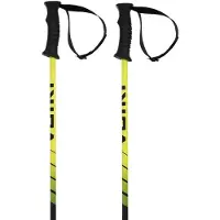 Völkl Speedstick Junior Stöcke