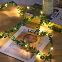 Dripio LED-Lichterkette 5 m, 50 warmweiße LEDs, USB, Fernbedienung, Timer
