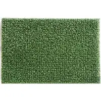 Masta Rasenmatte Astroturf Doorbutler - grün