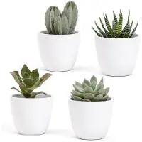 Merkloos Omgoods – Set aus 4 weißen Keramik-Töpfen – Ideal für Sukkulenten und Bonsai – 7 x 6 cm