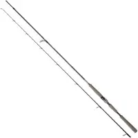 Daiwa Saltist Ags Iii Spinnrute