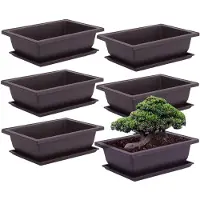 Merkloos Elzusha – Set aus 6 Bonsai-Trainingsgefäßen mit Untersetzer