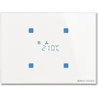 Busch-Jaeger TR/U.2.11-CG Raumtemperaturregler 2CKA006300A1619 TRU211CG