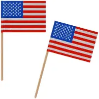 VEPATIM 2500x Fahnenpicker "Amerika" 10cm