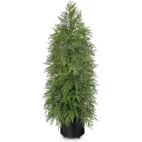 Merkloos Solidchoice – Künstlicher Weihnachtsbaum, 3 Fuß – Kleine Zeder-Topiarré in schwarzem Topf zur Weihnachtsdekoration