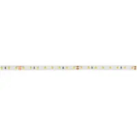 Brumberg 15572027