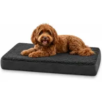 Belviona Hundematratze, weiche & stabile Liegematte mit waschbarem Bezug, 76x51x8 cm, schwarz