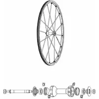 Mavic R-sys Front Speichen 9 Einheiten