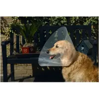 Beeztees Hundehalskrause