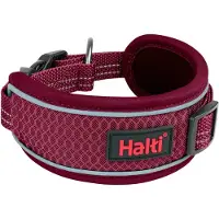 Company of animals Anatomy Hundehalsband