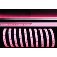 Deko-light 840256 Flexibler LED Stripe 5050-60-24V-RGB-5m-Silikon , Weiß