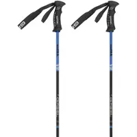 Gabel R Carbon Pro Stöcke