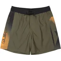 Quiksilver Badeshorts "Everyday Holmes Volley 16", Kinder, Gr. 14, grün (grape leaf holmes), Obermaterial: 100% Polyester., Badehosen Badeshorts