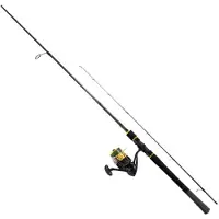 Daiwa Strikeforce Sf802hfsdf+sfbsd2500 Spinn-kombo